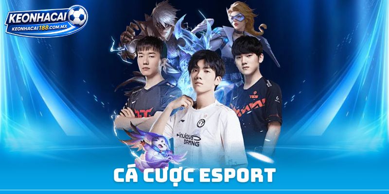 Cá Cược Esport