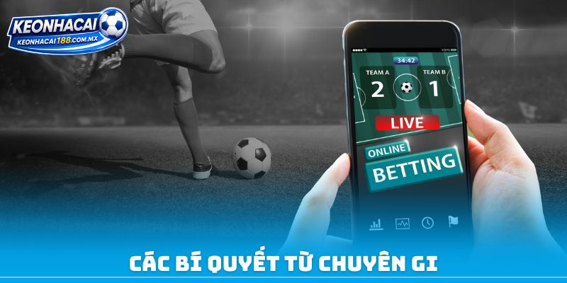 Các bí quyết từ chuyên gia