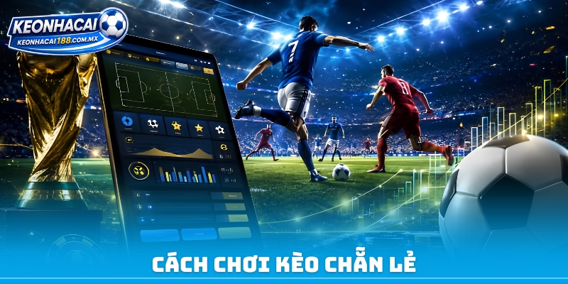 Cách chơi kèo chẵn lẻ