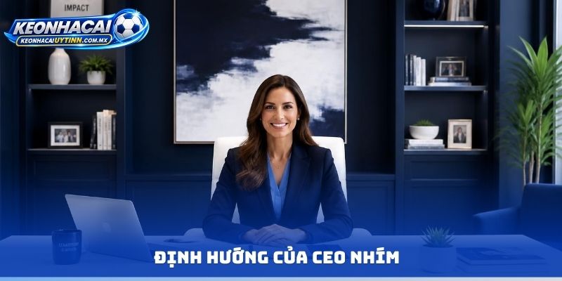 Định hướng của CEO Nhím