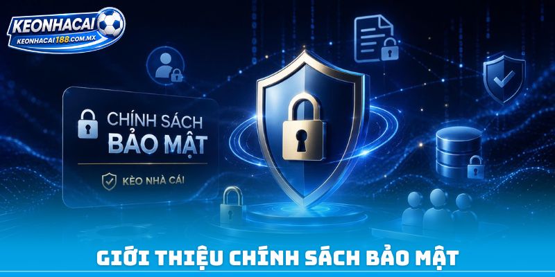 Giới thiệu chính sách bảo mật
