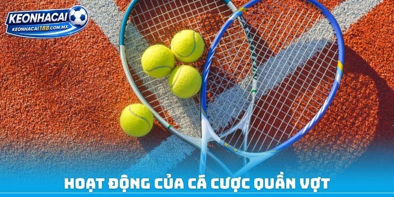Hoạt động của cá cược quần vợt