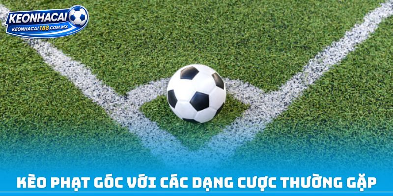 Kèo phạt góc với các dạng cược thường gặp