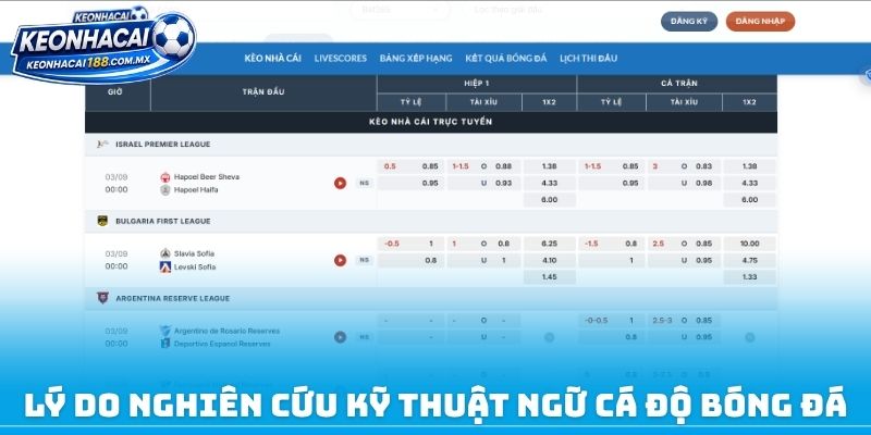 Lý do phải nghiên cứu kỹ thuật ngữ cá độ bóng đá