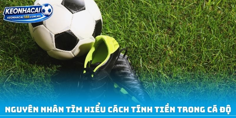 Nguyên nhân tìm hiểu cách tính tiền trong cá độ bóng đá