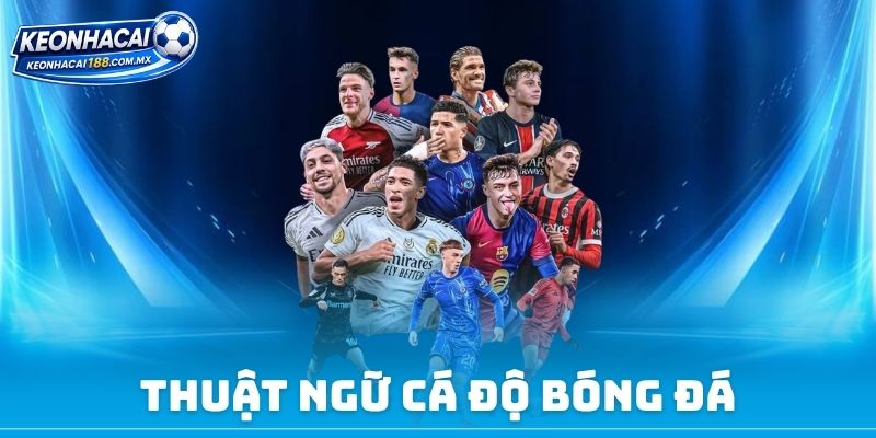 Thuật Ngữ Cá Độ Bóng Đá