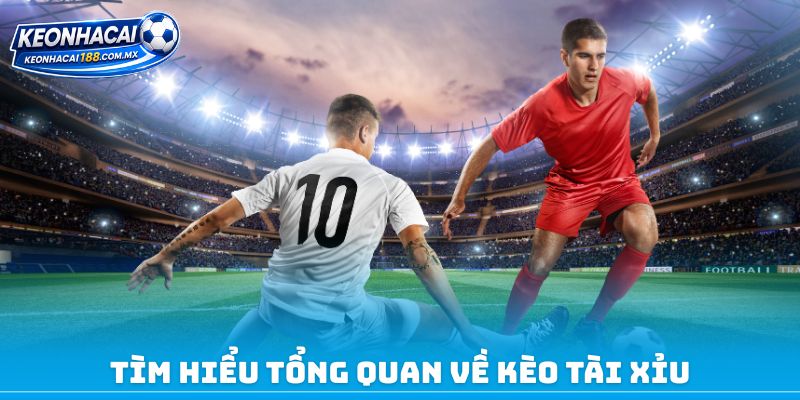 Tìm hiểu tổng quan về kèo tài xỉu