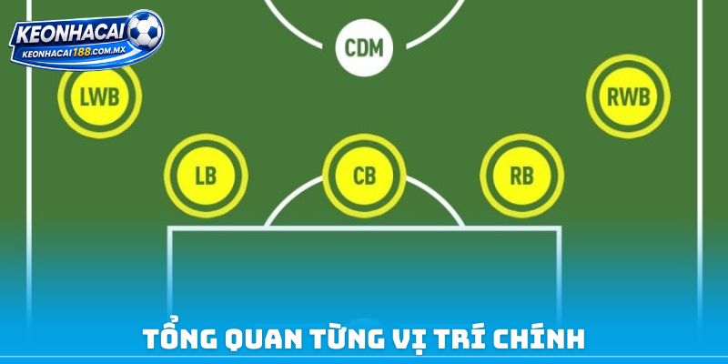 Tổng quan từng vị trí chính