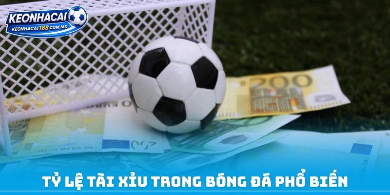 Tỷ lệ Tài Xỉu trong bóng đá phổ biến